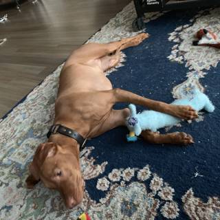 Relaxing with My Favorite Toy
