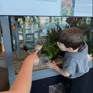 Exploring the Wonders of Sea Life