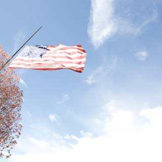 Old Glory in the Breeze