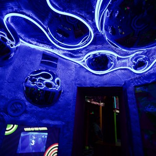 biological-art