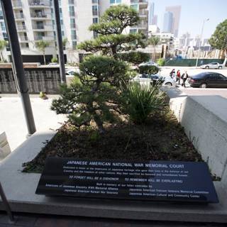 A Serene Bonsai in the Heart of the City