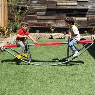 Joyful Balancing Act