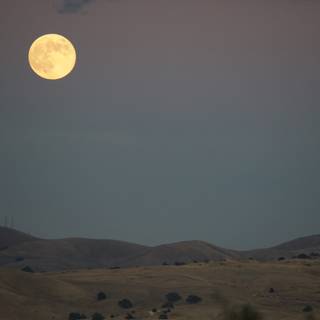 Luminescent Night Over Walnut Creek