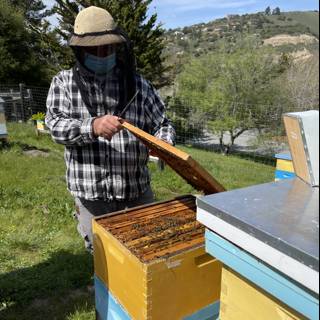 Beekeeper in Plaid Shirt Inspecting Hive