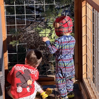 Two Children Exploring Snowy Yosemite Deck Together