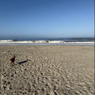 Embracing the Ocean Breeze