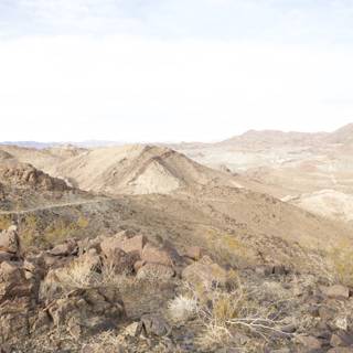 Desert Scenery with Rocks and Shrubs