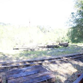 Serenity on the Tracks: A Morning at Tilden Steam Trains