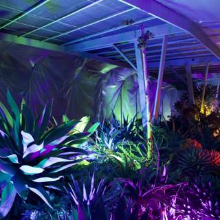 Enchanted Night in the Garden