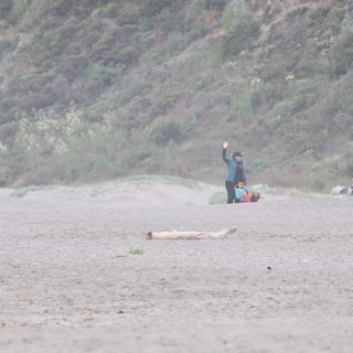 Family Waving Hello on a Misty Coastal Beach