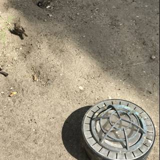 Urban Manhole Cover