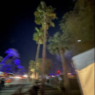 Palms and City Lights