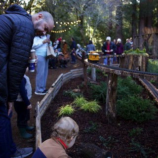 Garden railway or model train park