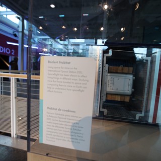 Rodent Habitat Display at Space Science Museum