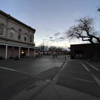 Tree-Lined Street in Santa Fe