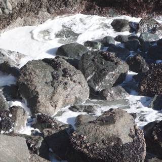 Aerial View of Ocean Rocks