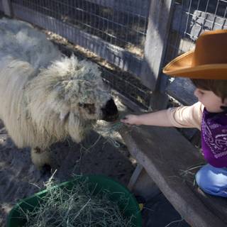 Cowboy Encounters: A Moment at Carmel Valley Ranch