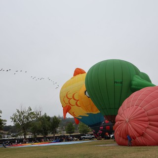 Giant Bird Balloons Inflate at Sonoma County Classic