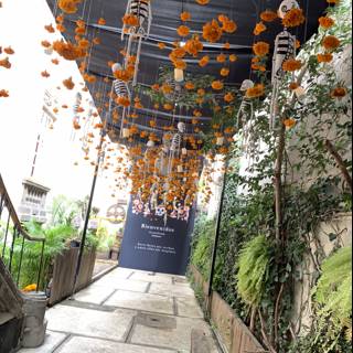 Orange Flowers Hanging in a Walkway