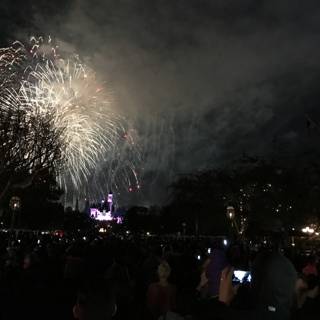 Disneyland Magic in the Night