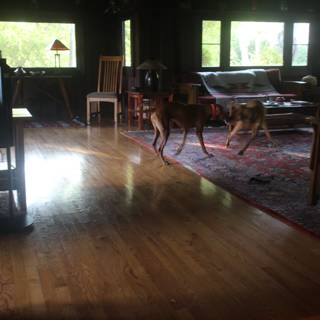 Rustic living room with hardwood floor and canine companions