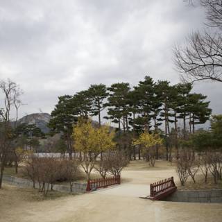 Serene Morning in a Korean Park