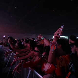 Ecstatic Crowd Surges at Wobbleland Festival 2026