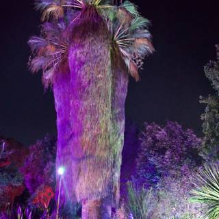 Enchanted Palm Under the Stars