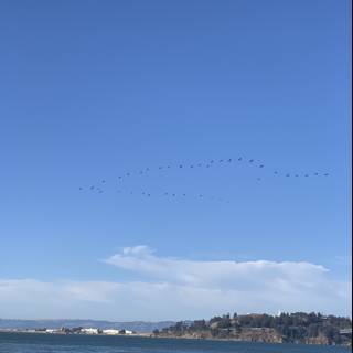 Flying Flock Over the Ocean