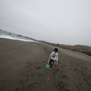 Young Explorer Walking Along Foggy Northern California Beach