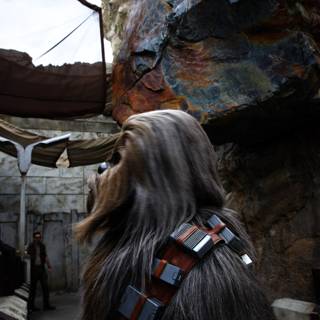 The Force Awakens at Disneyland
