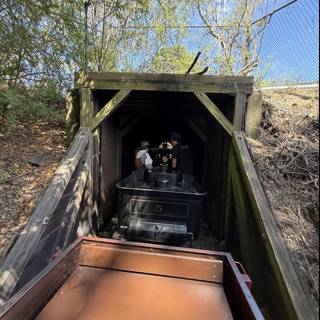 Journey Through the Tunnel at Tilden Park