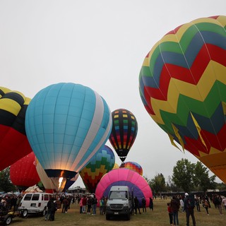Colorful Hot Air Balloons Fill the Sky at Festival