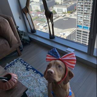 Patriotic Pup