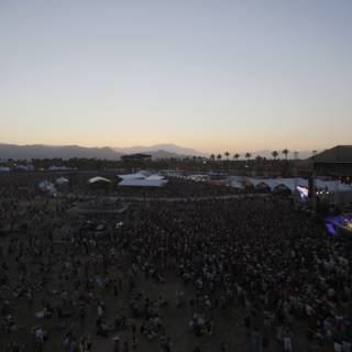 Coachella 2014: Music Mania