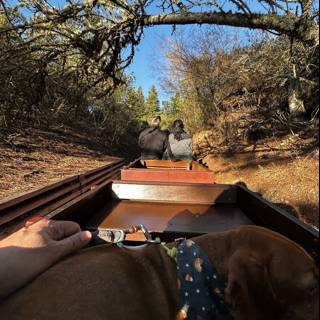 Train Ride with Furry Companion