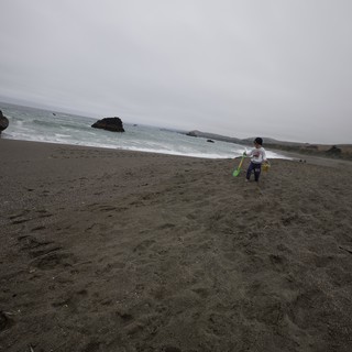 Young Explorer on a Misty Northern California Beach
