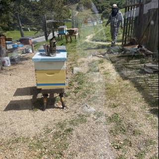 Tending the Hives