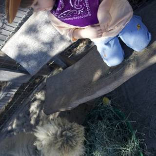 Cowboy Encounters at Carmel Valley Ranch
