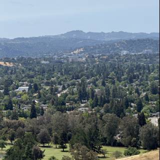 Verdant Vistas from Lime Ridge