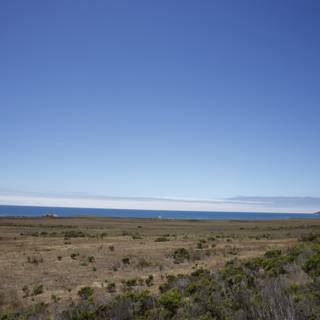 Summer Stroll Along the Coast
