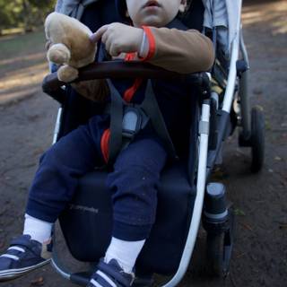 Adventurous Strolls Through Thistlewyck