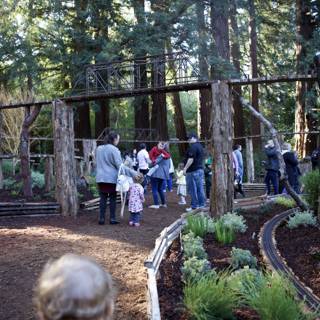 A Stroll Through Thistlewyck's Enchanted Grove