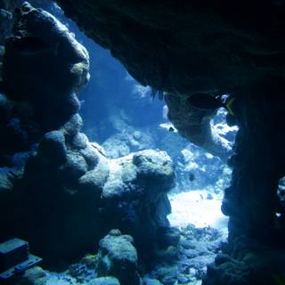 Luminous Underwater Odyssey
