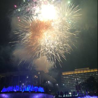Spectacular Fireworks Illuminate the Night Sky