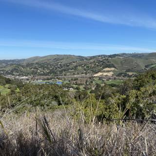 Majestic View of Carmel Valley from a Hillside