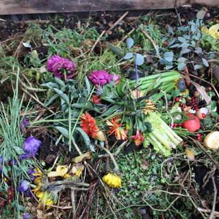 A Blooming Compost Pile