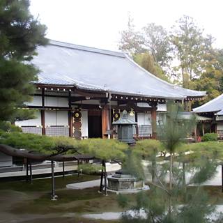 Japanese-style Building with Tree at Kyoto City Hall