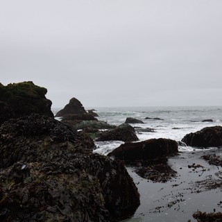 Storm-Washed Tide Pools at Schoolhouse Beach