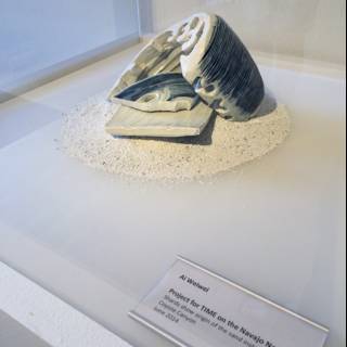 Seashell Sculpture on Display